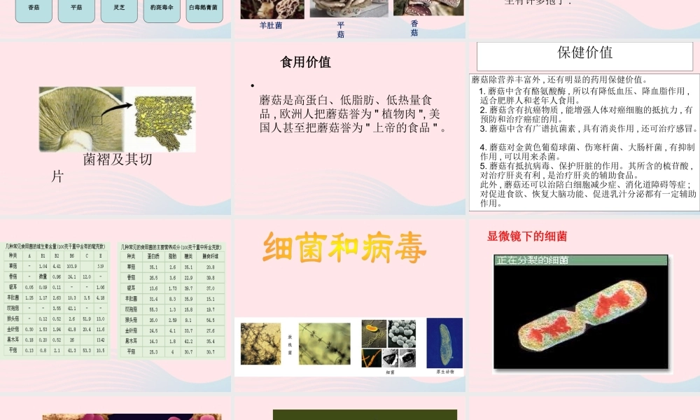 五年级科学上册 第4课《蘑菇》课件（4） 鄂教版-鄂教版小学五年级上册自然科学课件