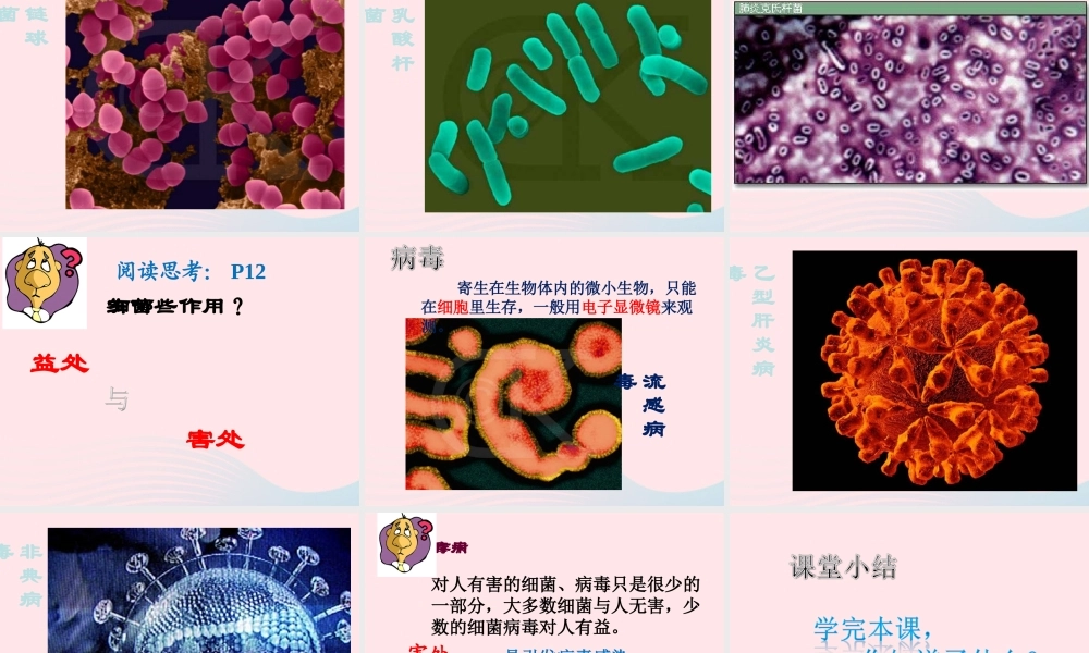 五年级科学上册 第4课《蘑菇》课件（4） 鄂教版-鄂教版小学五年级上册自然科学课件