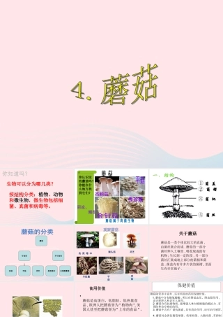 五年级科学上册 第4课《蘑菇》课件（4） 鄂教版-鄂教版小学五年级上册自然科学课件