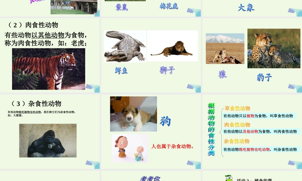 五年级科学上册 第5课 动物的食物课件1 冀教版-冀教版小学五年级上册自然科学课件