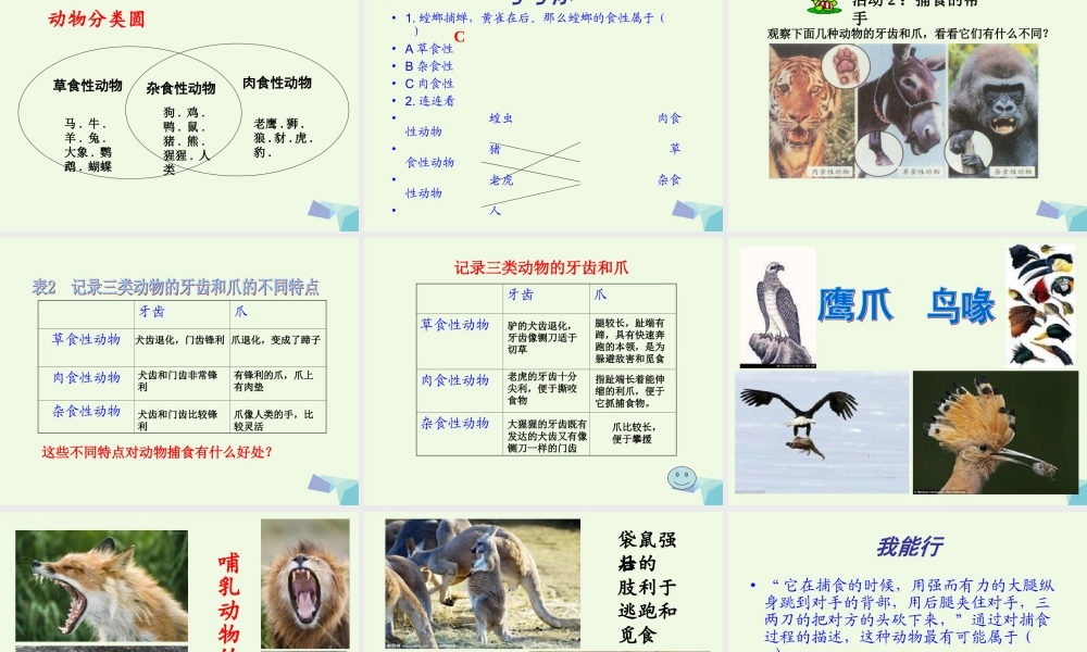 五年级科学上册 第5课 动物的食物课件1 冀教版-冀教版小学五年级上册自然科学课件