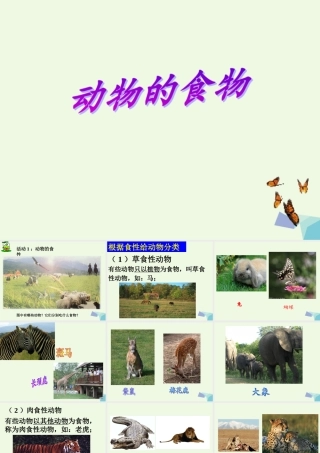 五年级科学上册 第5课 动物的食物课件1 冀教版-冀教版小学五年级上册自然科学课件