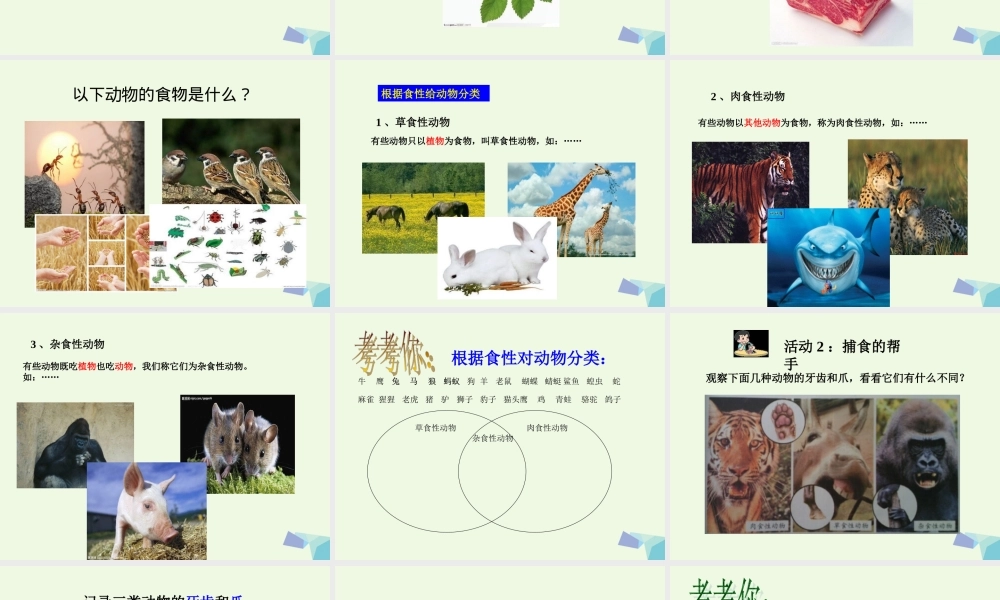 五年级科学上册 第5课 动物的食物课件2 冀教版-冀教版小学五年级上册自然科学课件
