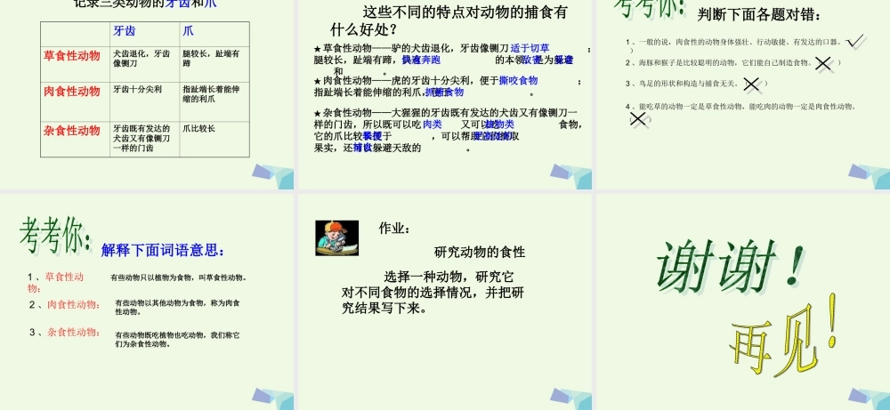 五年级科学上册 第5课 动物的食物课件2 冀教版-冀教版小学五年级上册自然科学课件