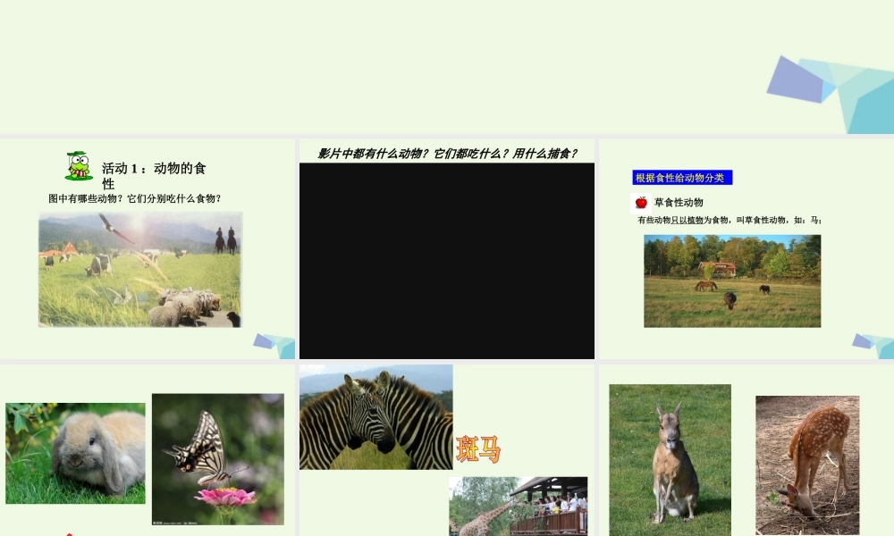 五年级科学上册 第5课 动物的食物课件3 冀教版-冀教版小学五年级上册自然科学课件
