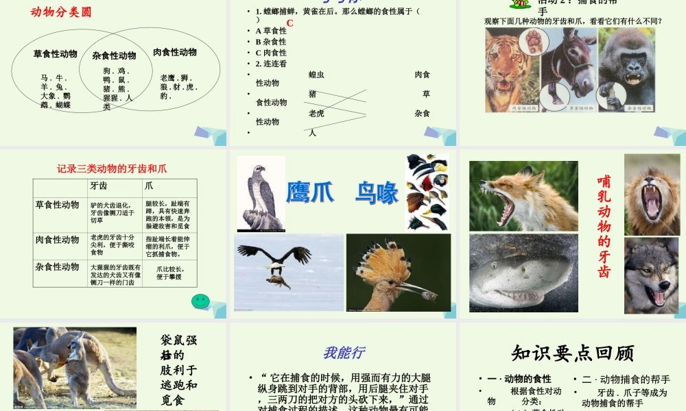 五年级科学上册 第5课 动物的食物课件3 冀教版-冀教版小学五年级上册自然科学课件