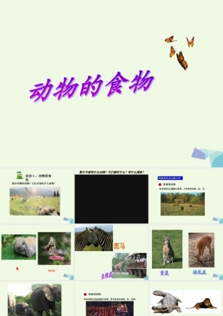 五年级科学上册 第5课 动物的食物课件3 冀教版-冀教版小学五年级上册自然科学课件