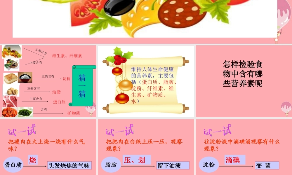 五年级科学上册 第5课 我们需要的营养课件1 青岛版-青岛版小学五年级上册自然科学课件