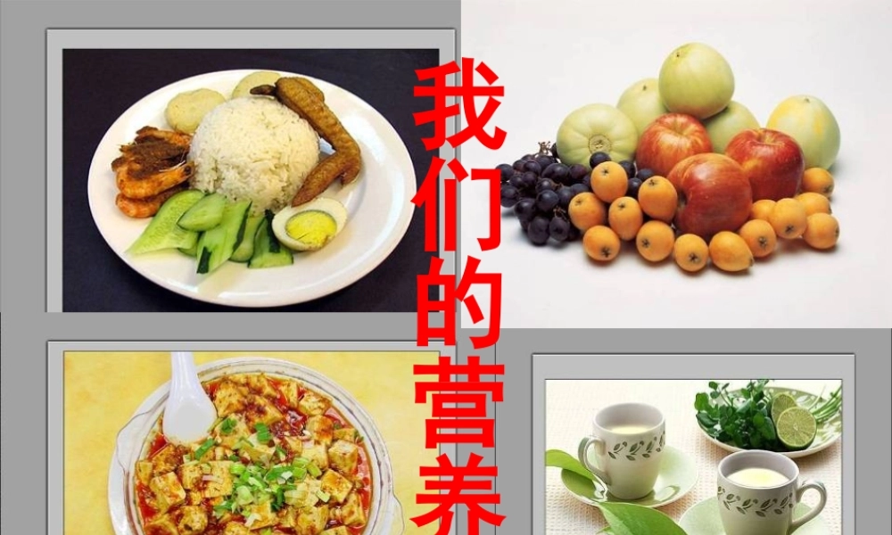 五年级科学上册 第5课 我们需要的营养课件2 青岛版-青岛版小学五年级上册自然科学课件