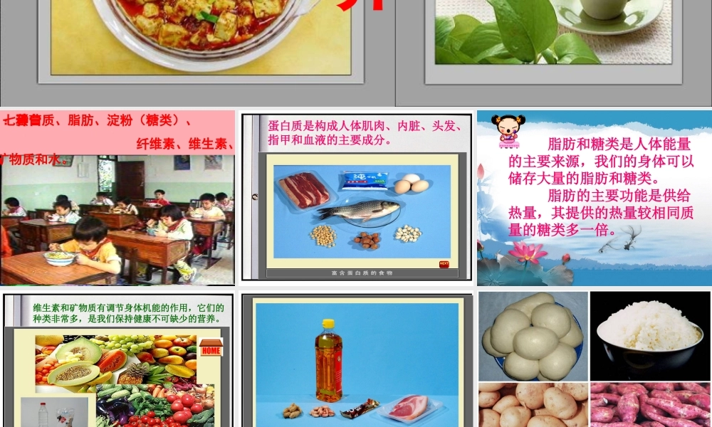 五年级科学上册 第5课 我们需要的营养课件2 青岛版-青岛版小学五年级上册自然科学课件