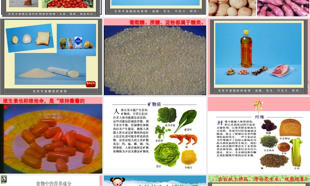 五年级科学上册 第5课 我们需要的营养课件2 青岛版-青岛版小学五年级上册自然科学课件