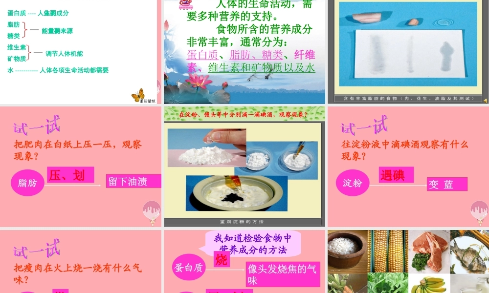 五年级科学上册 第5课 我们需要的营养课件2 青岛版-青岛版小学五年级上册自然科学课件