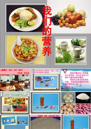 五年级科学上册 第5课 我们需要的营养课件2 青岛版-青岛版小学五年级上册自然科学课件