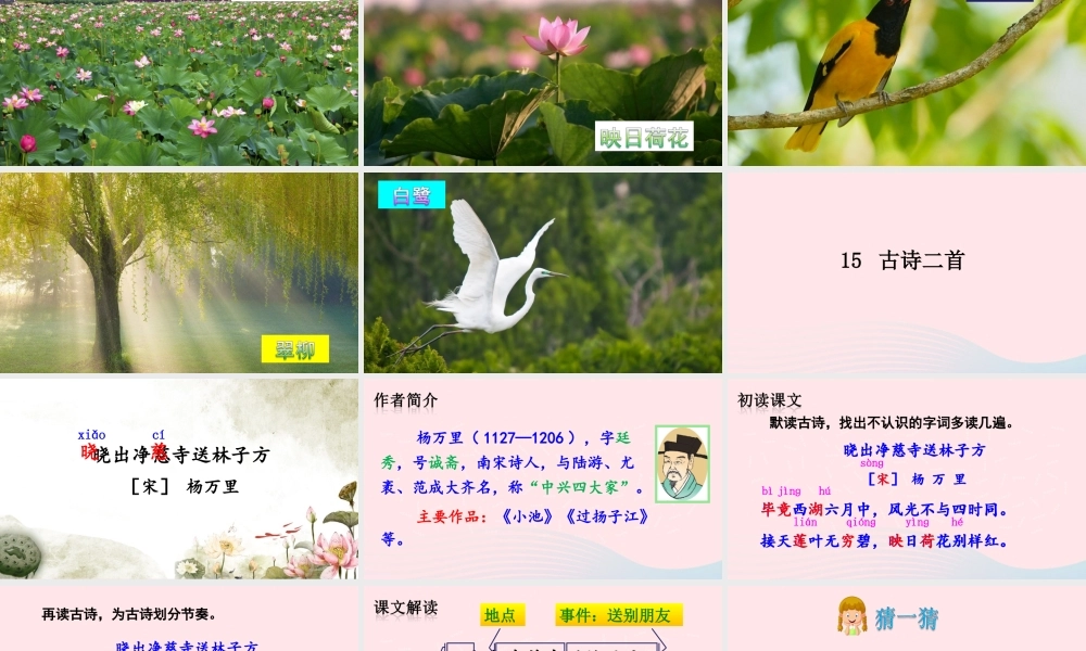 二年级语文下册 课文5 15《古诗二首》教学课件 新人教版-新人教版小学二年级下册语文课件