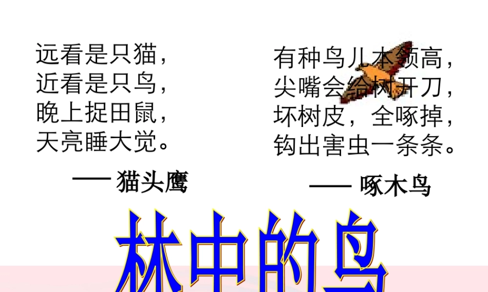 五年级科学上册 第5课《林中的鸟》课件（3） 鄂教版-鄂教版小学五年级上册自然科学课件