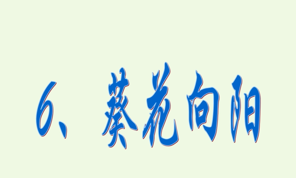 五年级科学上册 第6课 葵花向阳课件1 冀教版-冀教版小学五年级上册自然科学课件