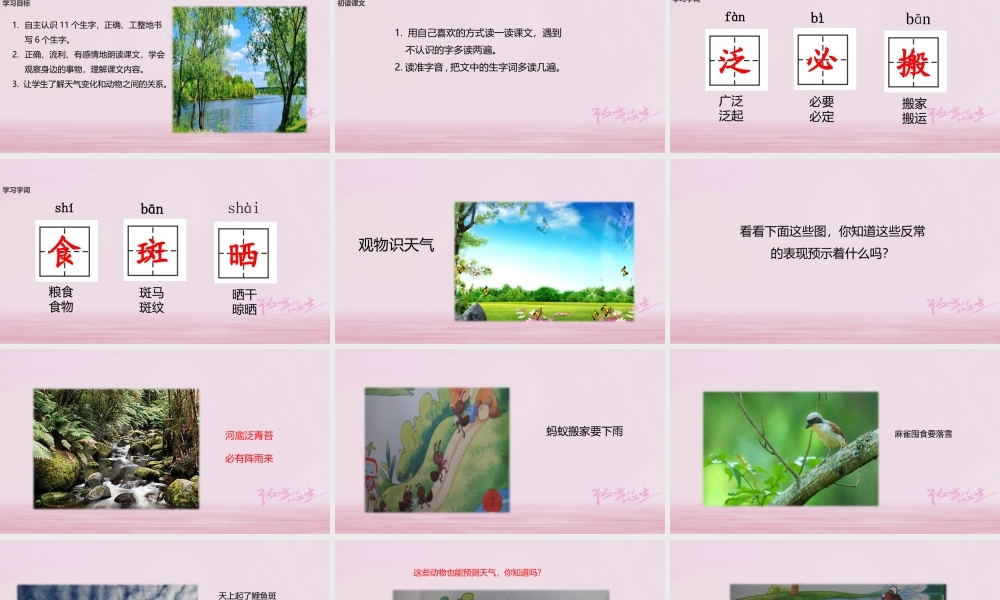 二年级语文下册 识字二 农谚两则（观物识天气）课件 西师大版-西师大版小学二年级下册语文课件