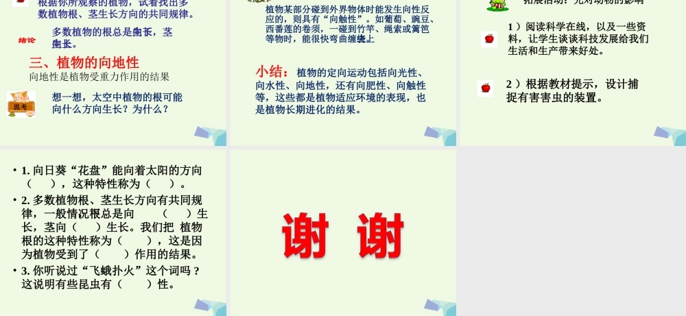 五年级科学上册 第6课 葵花向阳课件2 冀教版-冀教版小学五年级上册自然科学课件