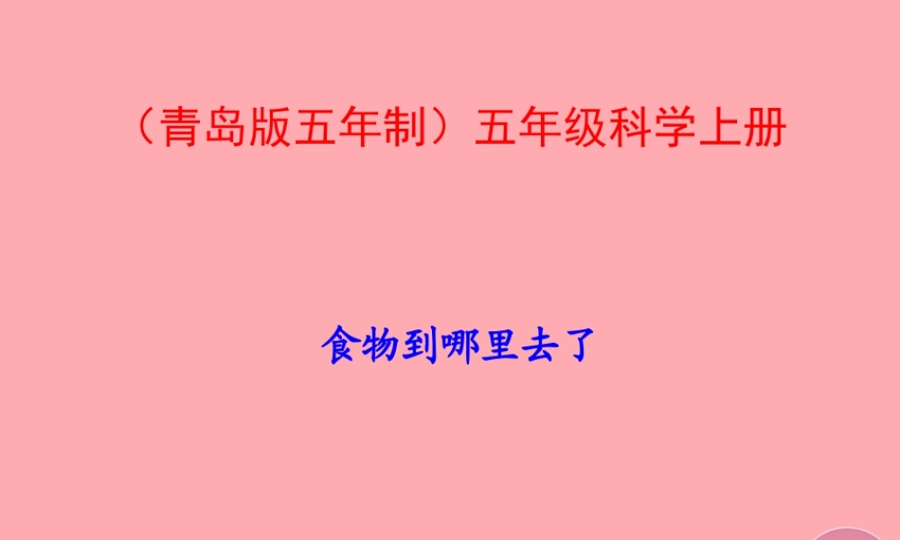 五年级科学上册 第6课 食物到哪里去了课件1 青岛版-青岛版小学五年级上册自然科学课件