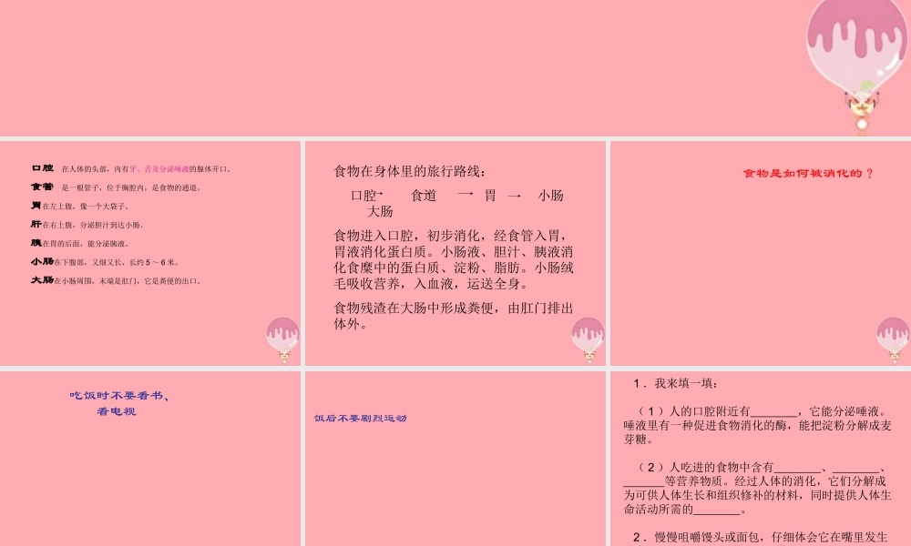 五年级科学上册 第6课 食物到哪里去了课件1 青岛版-青岛版小学五年级上册自然科学课件