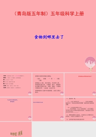 五年级科学上册 第6课 食物到哪里去了课件1 青岛版-青岛版小学五年级上册自然科学课件