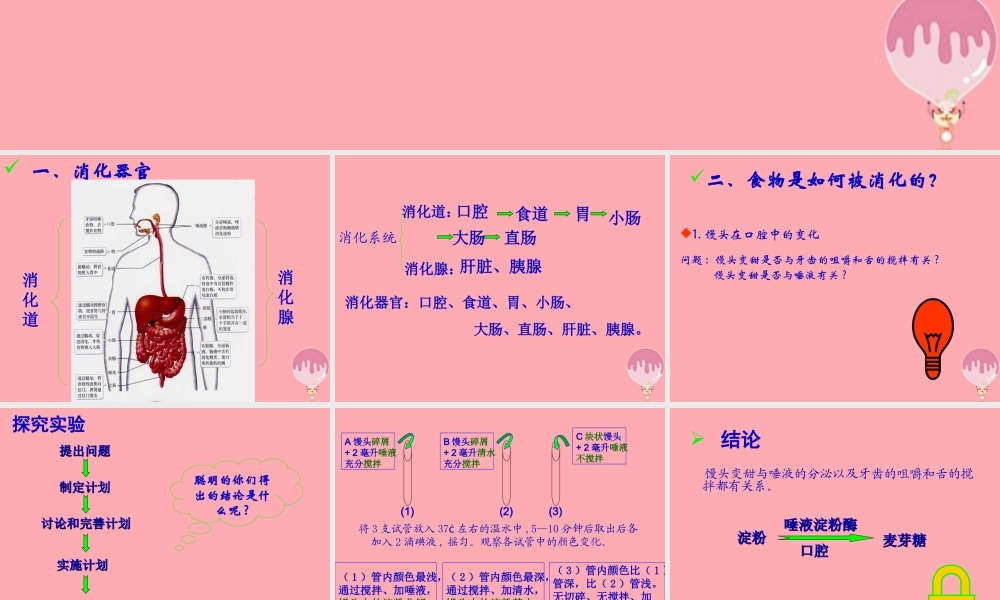 五年级科学上册 第6课 食物到哪里去了课件2 青岛版-青岛版小学五年级上册自然科学课件