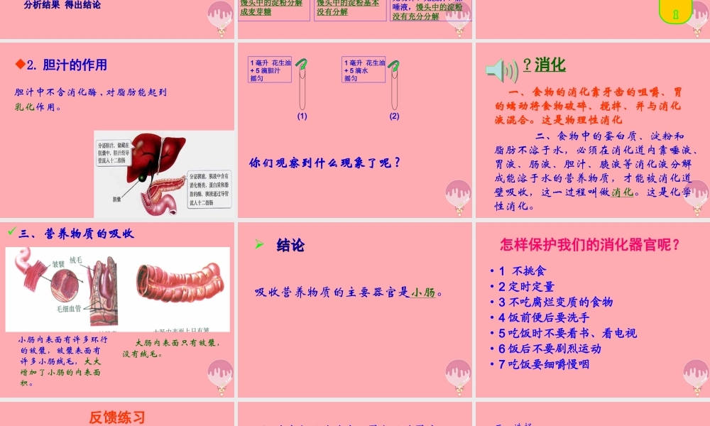 五年级科学上册 第6课 食物到哪里去了课件2 青岛版-青岛版小学五年级上册自然科学课件