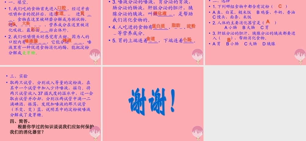 五年级科学上册 第6课 食物到哪里去了课件2 青岛版-青岛版小学五年级上册自然科学课件