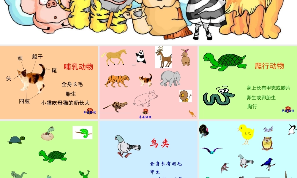 五年级科学下册 第1课《形形色色的动物》课件1 鄂教版-鄂教版小学五年级下册自然科学课件