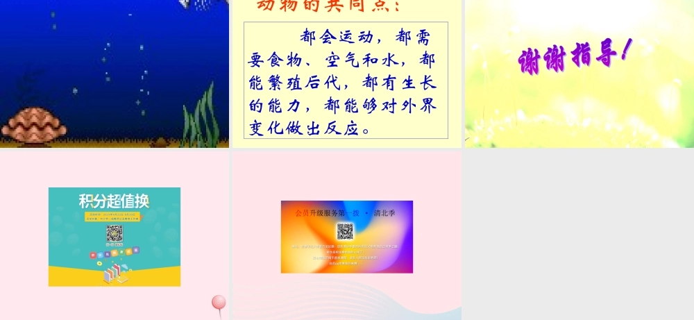 五年级科学下册 第1课《形形色色的动物》课件1 鄂教版-鄂教版小学五年级下册自然科学课件