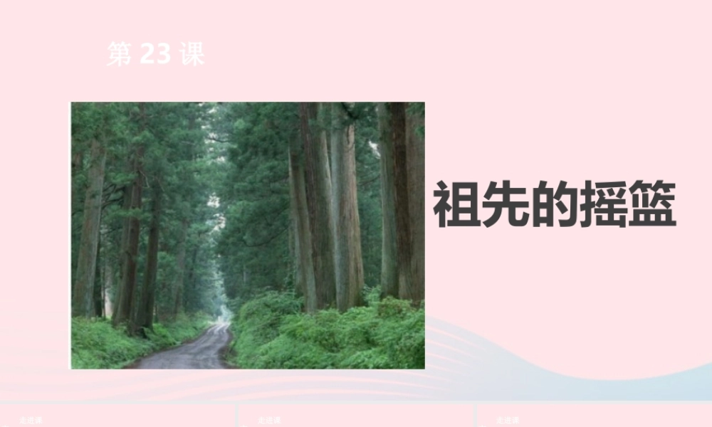 二年级语文下册 课文7 第23课 祖先的摇篮课件 新人教版-新人教版小学二年级下册语文课件