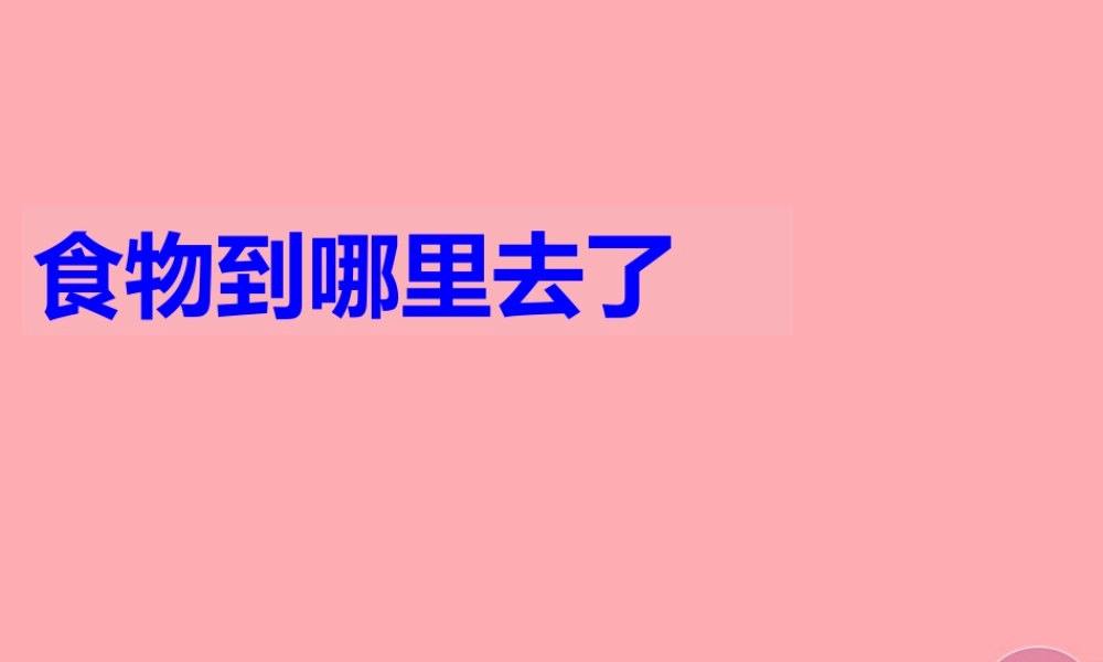 五年级科学上册 第6课 食物到哪里去了课件3 青岛版-青岛版小学五年级上册自然科学课件