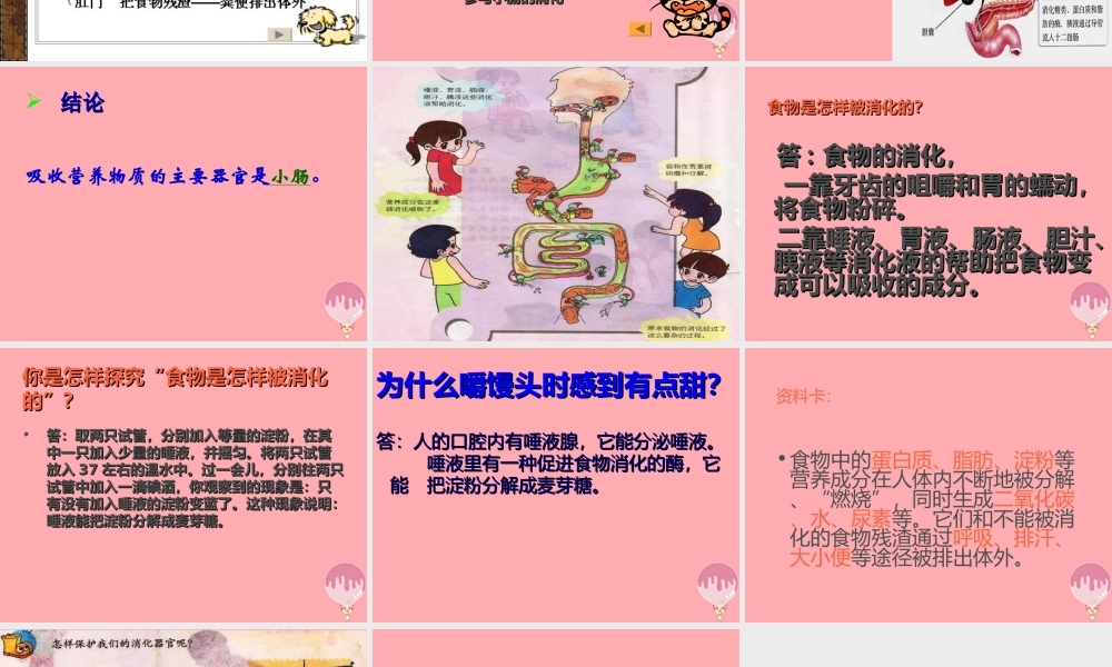 五年级科学上册 第6课 食物到哪里去了课件3 青岛版-青岛版小学五年级上册自然科学课件