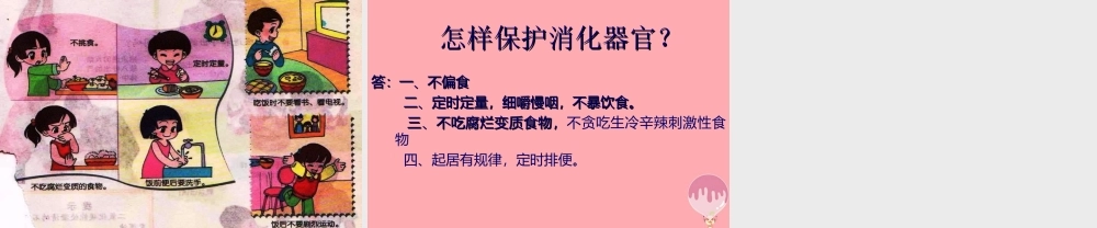 五年级科学上册 第6课 食物到哪里去了课件3 青岛版-青岛版小学五年级上册自然科学课件