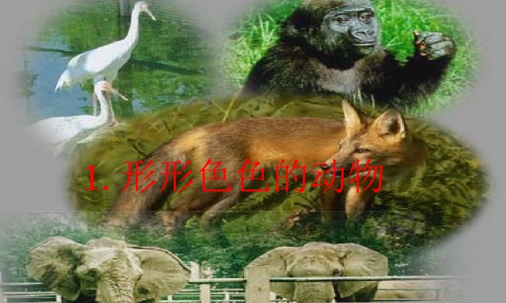 五年级科学下册 第1课《形形色色的动物》课件2 鄂教版-鄂教版小学五年级下册自然科学课件
