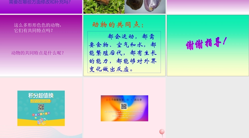 五年级科学下册 第1课《形形色色的动物》课件2 鄂教版-鄂教版小学五年级下册自然科学课件