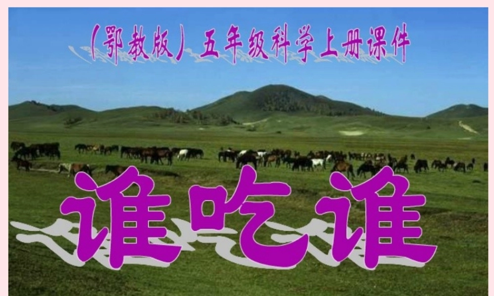 五年级科学上册 第6课《谁吃谁》课件（1） 鄂教版-鄂教版小学五年级上册自然科学课件