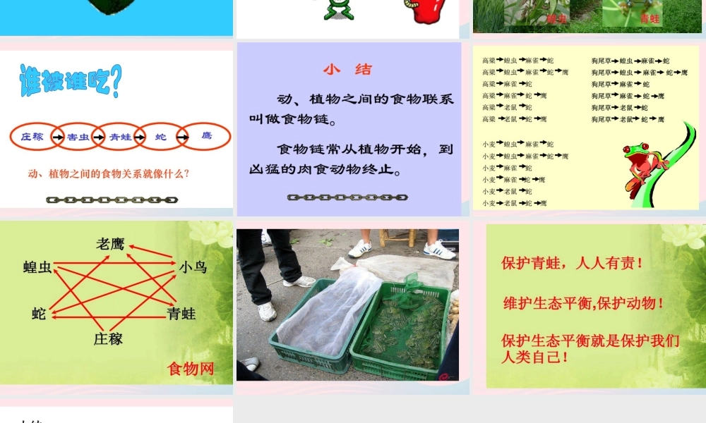 五年级科学上册 第6课《谁吃谁》课件（1） 鄂教版-鄂教版小学五年级上册自然科学课件