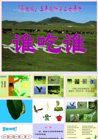五年级科学上册 第6课《谁吃谁》课件（1） 鄂教版-鄂教版小学五年级上册自然科学课件