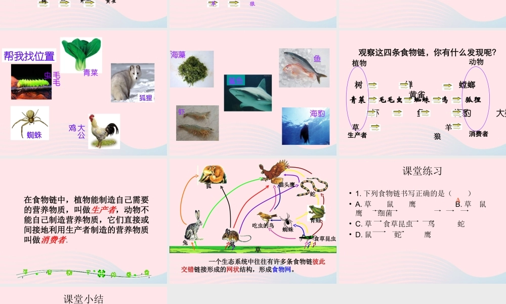 五年级科学上册 第6课《谁吃谁》课件（2） 鄂教版-鄂教版小学五年级上册自然科学课件