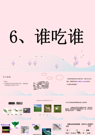 五年级科学上册 第6课《谁吃谁》课件（2） 鄂教版-鄂教版小学五年级上册自然科学课件
