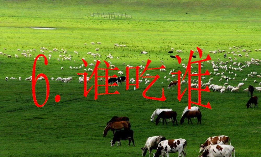 五年级科学上册 第6课《谁吃谁》课件（3） 鄂教版-鄂教版小学五年级上册自然科学课件