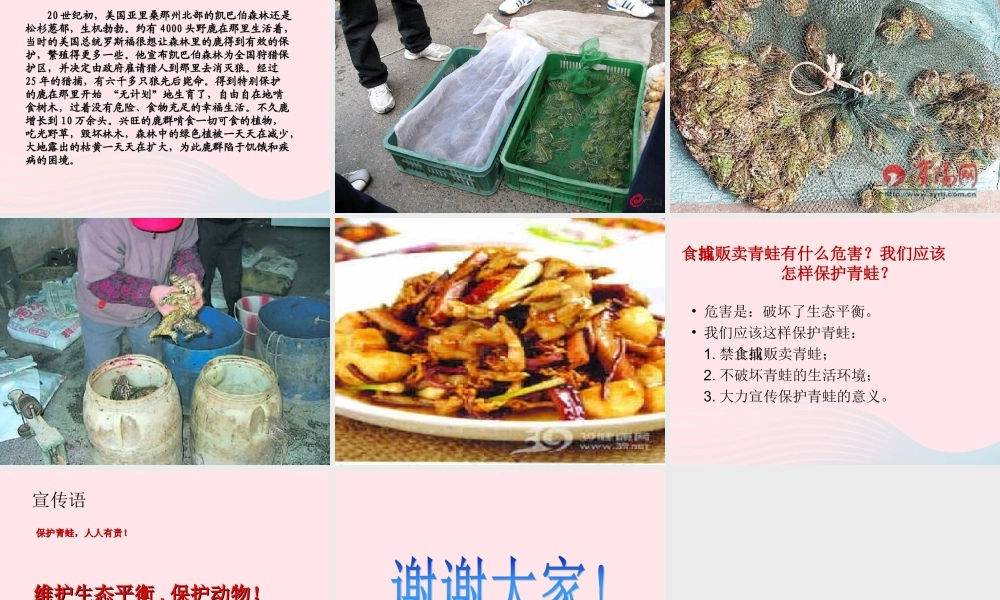 五年级科学上册 第6课《谁吃谁》课件（3） 鄂教版-鄂教版小学五年级上册自然科学课件