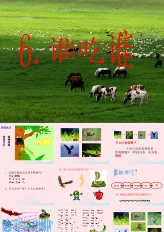 五年级科学上册 第6课《谁吃谁》课件（3） 鄂教版-鄂教版小学五年级上册自然科学课件