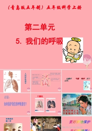 五年级科学上册 第7课 我们的呼吸课件1 青岛版-青岛版小学五年级上册自然科学课件