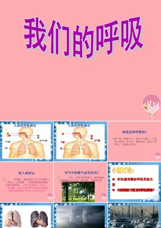 五年级科学上册 第7课 我们的呼吸课件2 青岛版-青岛版小学五年级上册自然科学课件