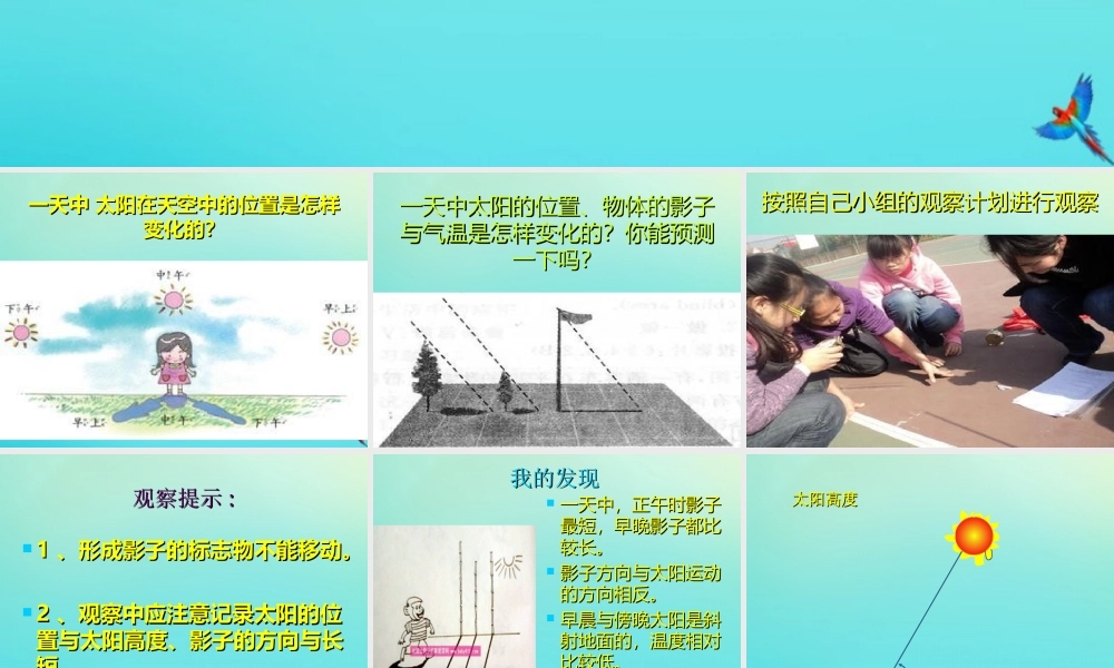 五年级科学下册 第2单元 地球的运动 2.1 太阳与影子课件 （新版）湘科版-人教版小学五年级下册自然科学课件