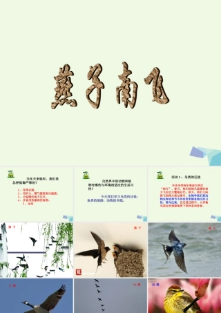五年级科学上册 第7课 燕子南飞课件1 冀教版-冀教版小学五年级上册自然科学课件