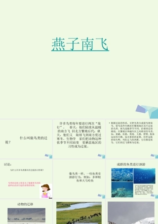 五年级科学上册 第7课 燕子南飞课件2 冀教版-冀教版小学五年级上册自然科学课件