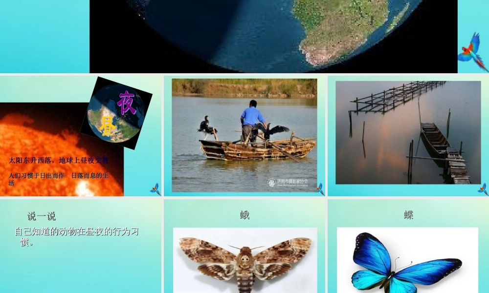 五年级科学下册 第2单元 地球的运动 2.2《昼夜交替》课件1 （新版）湘科版-人教版小学五年级下册自然科学课件